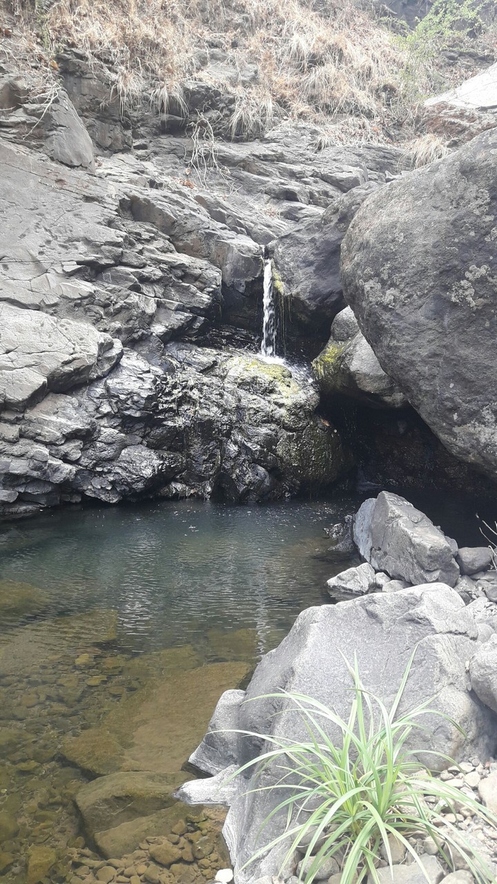 peaceful joy of nature