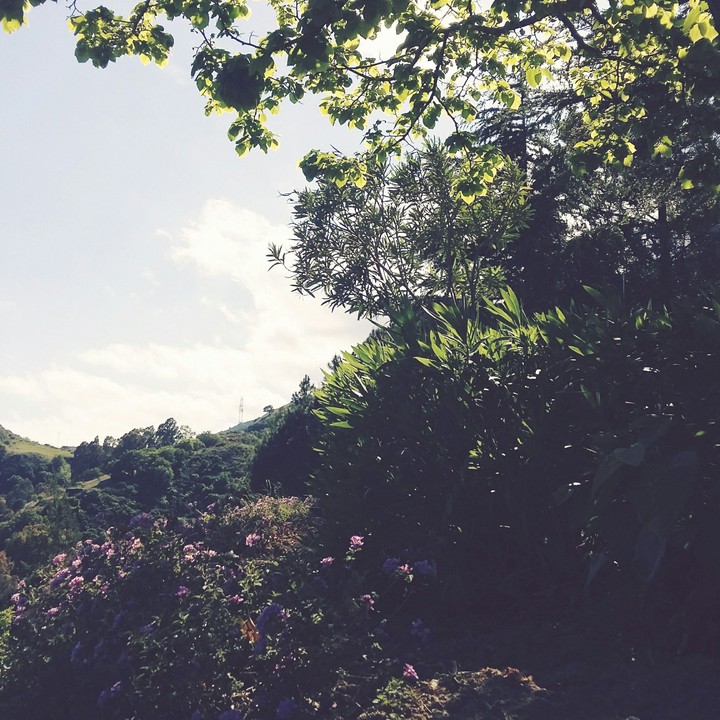 Nature