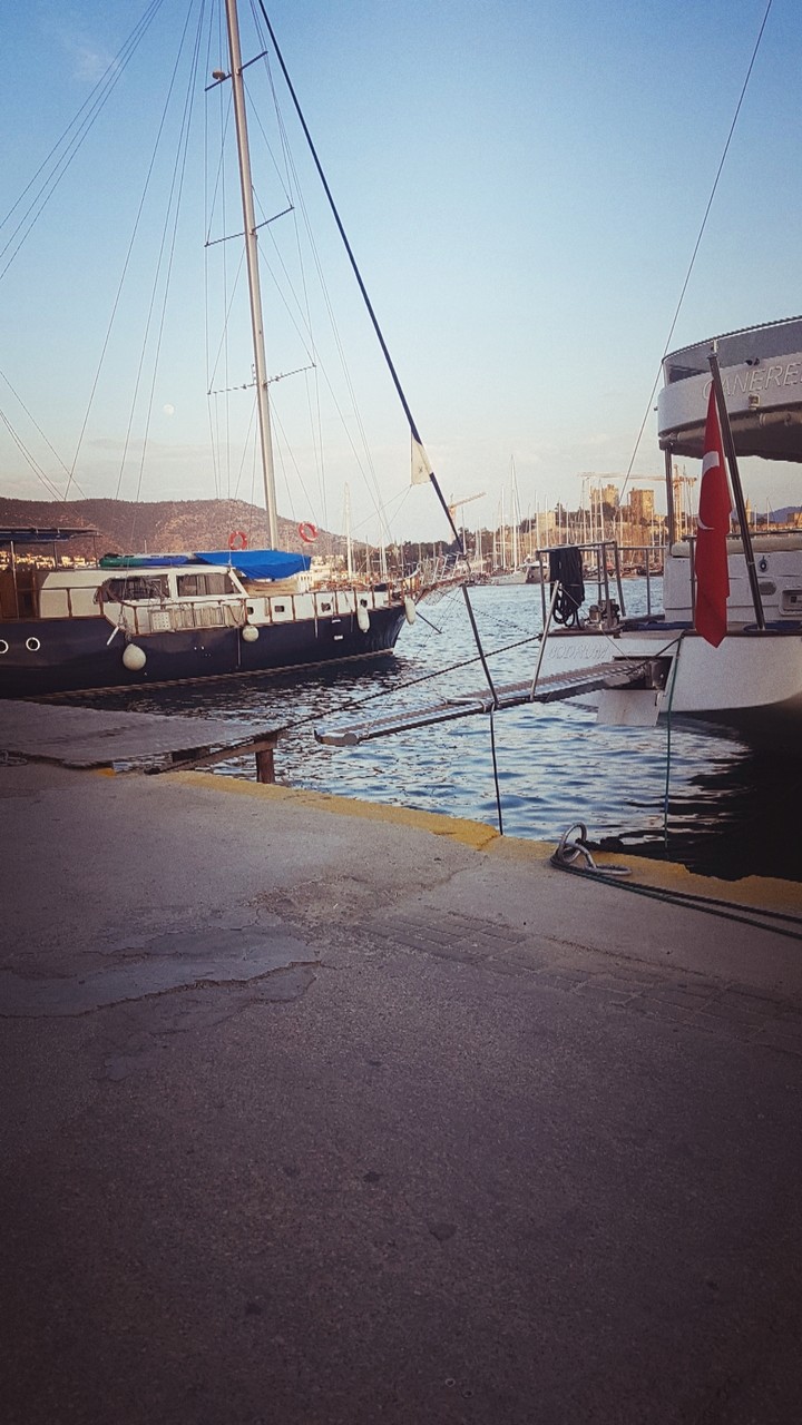 the bodrum