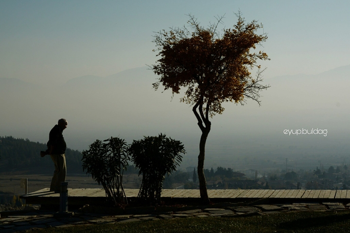 Loneliness and old man