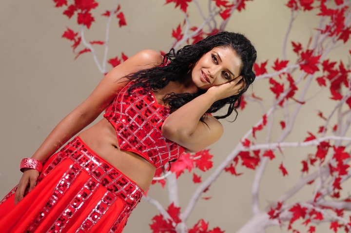 Vimala Raman