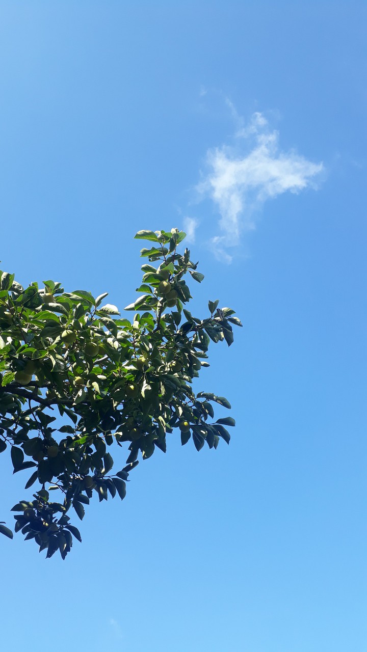 Beautiful sky!!