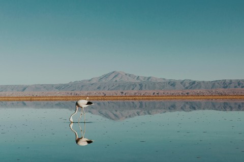 reflection