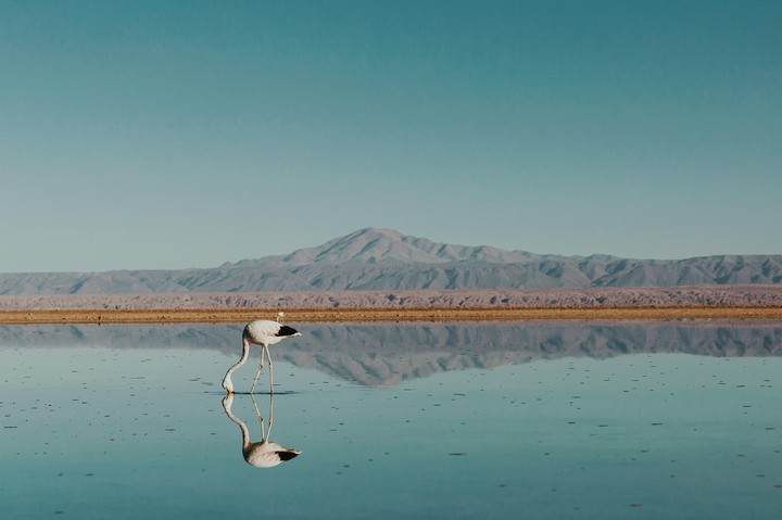 reflection