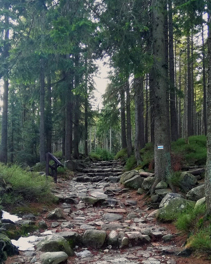 walk