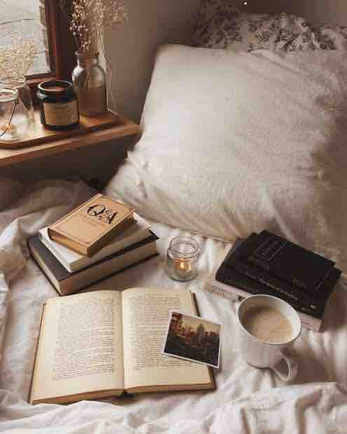 peak into “my” bed