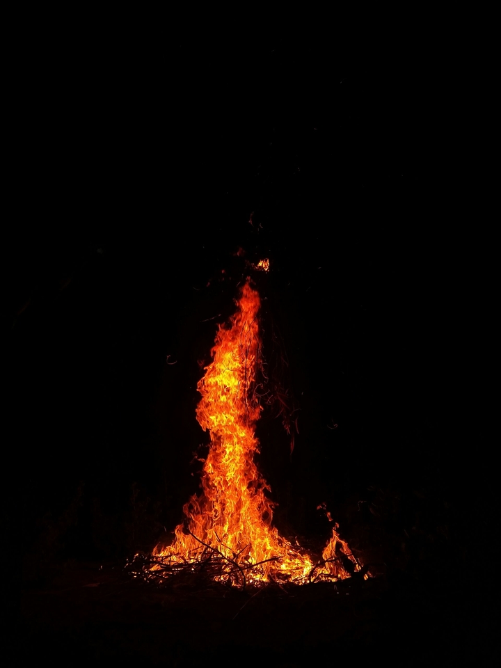 holi