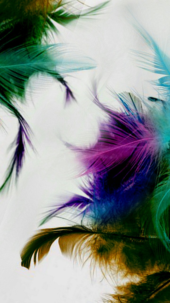 Carnaval 004