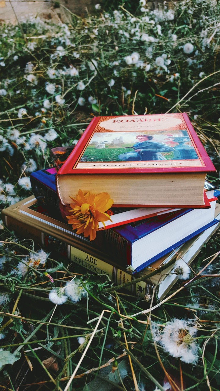 Books❤