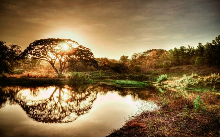 nature