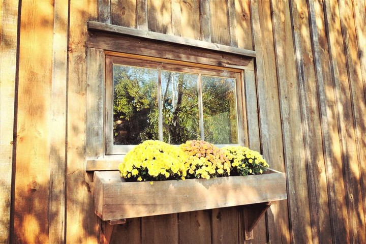 Window box