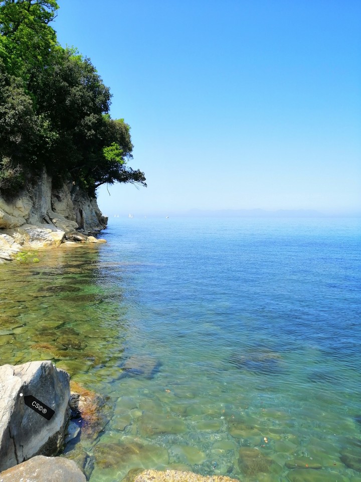 Paradise