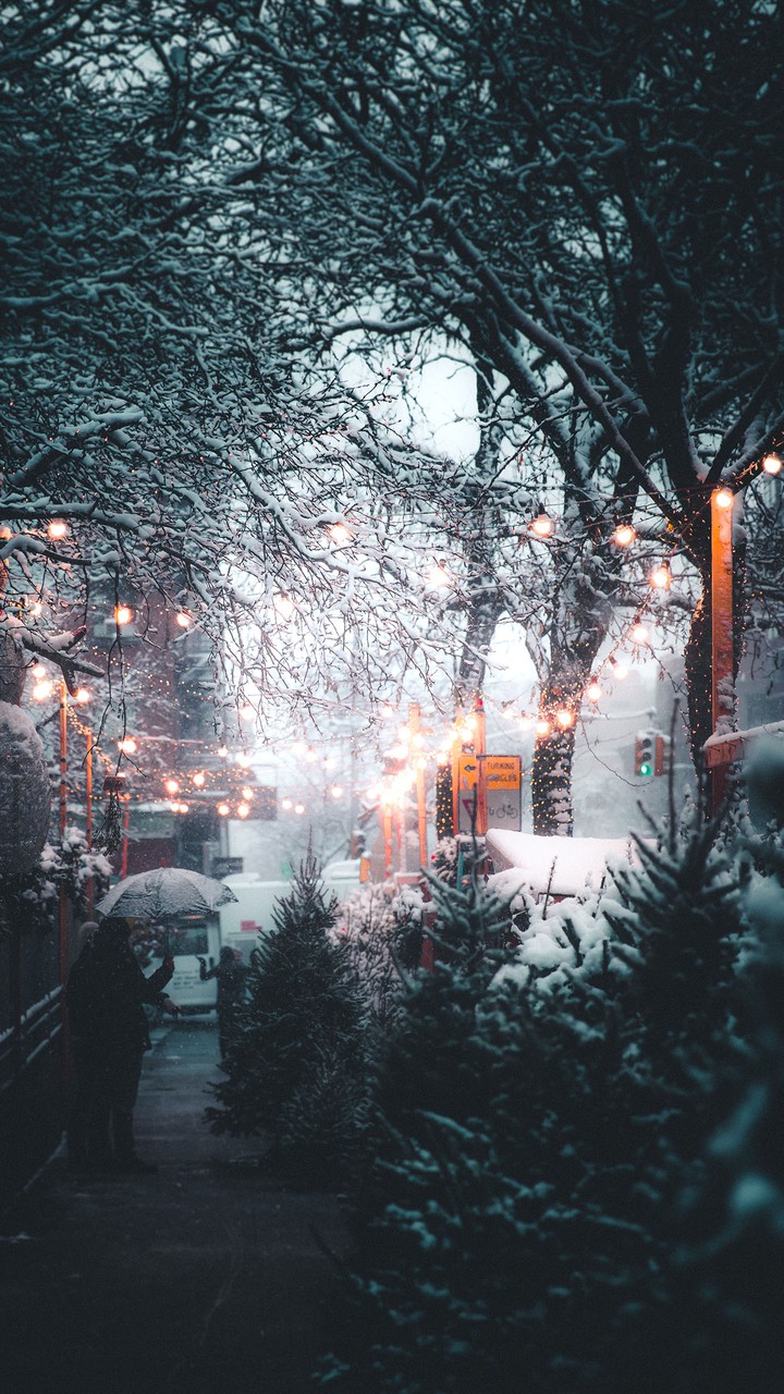 winter