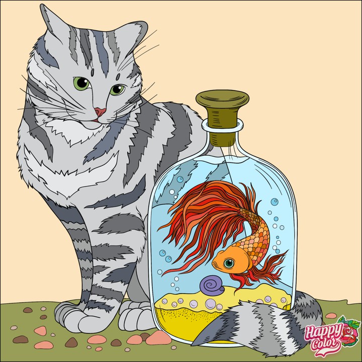 Gato e peixe
