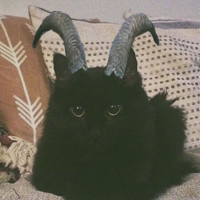 мой чёртик