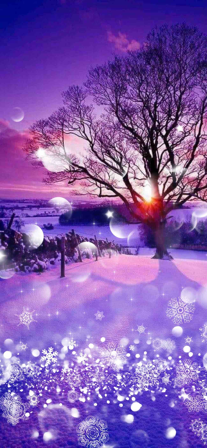 Lilac evening