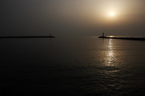 Scenics
