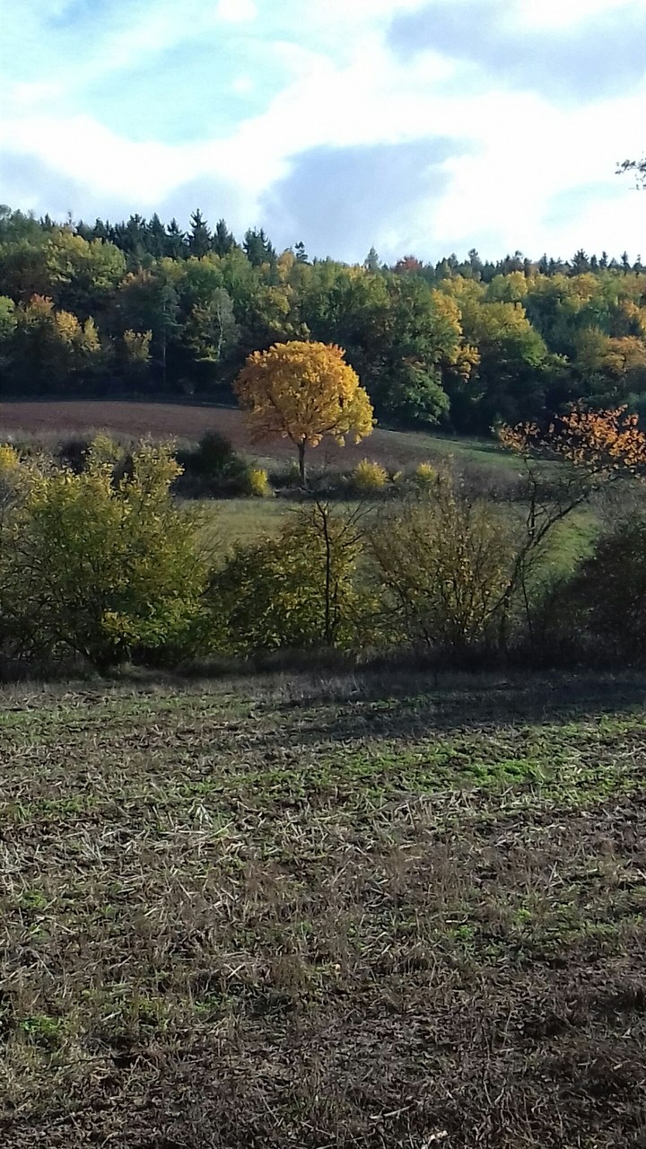 Autumn