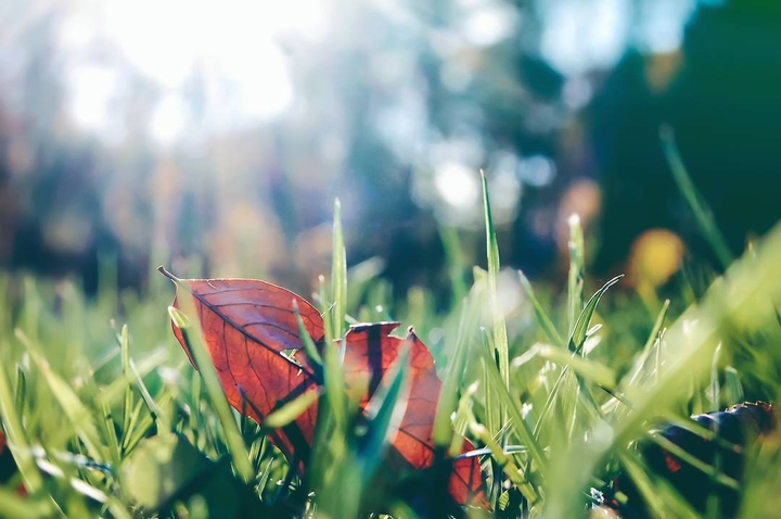 find joy in the ordinary