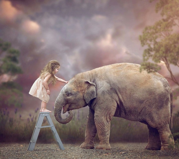 animal love