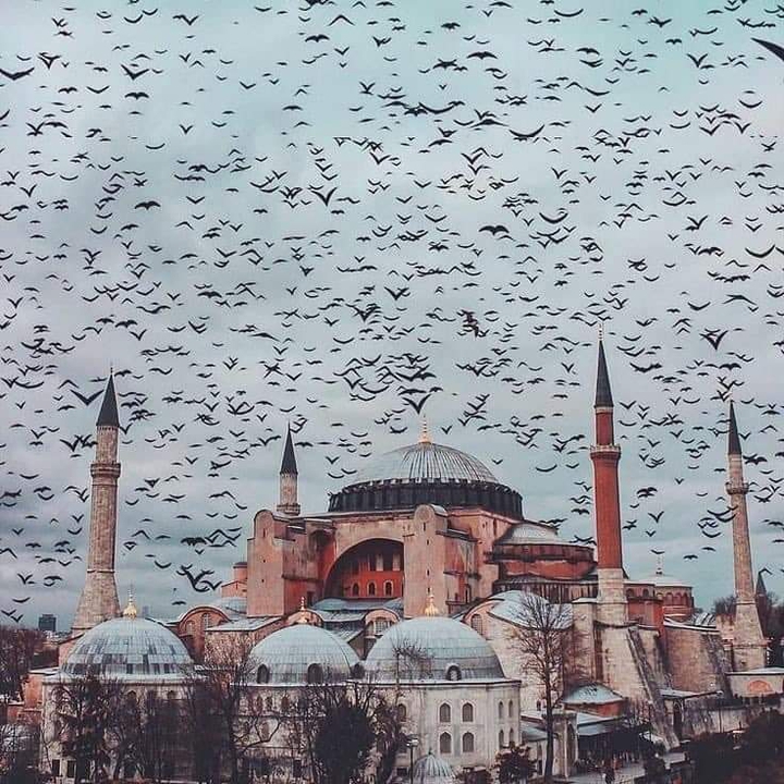AyaSofya