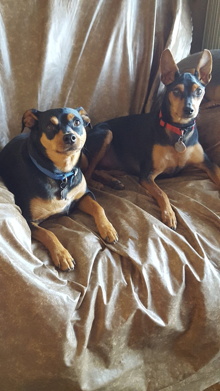 The boys