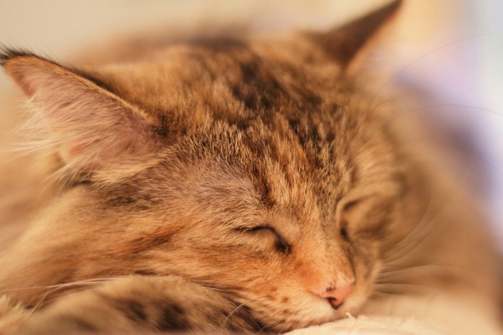 zzzzzzzzzzzzzzzzzzzzzzz