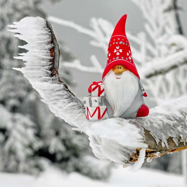 THE GNOME ON THE FROZEN BRANCH