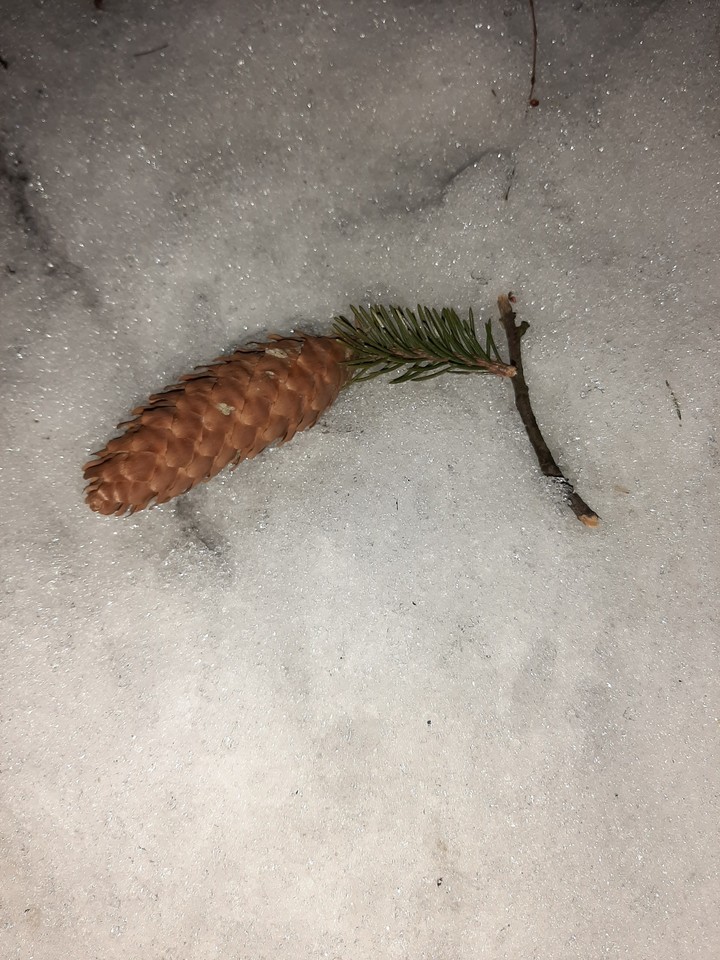 Winter gift