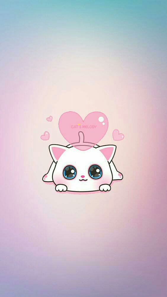 Cat love