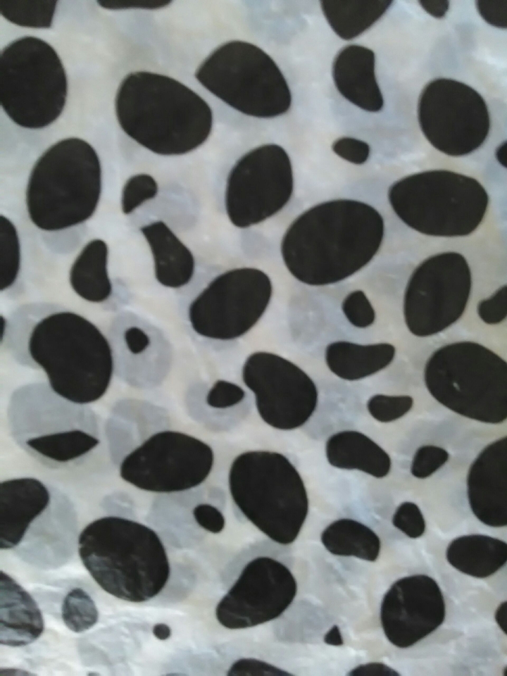 Dalmatian