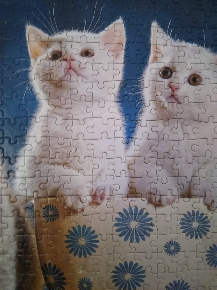puzzle