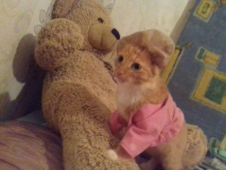 модель