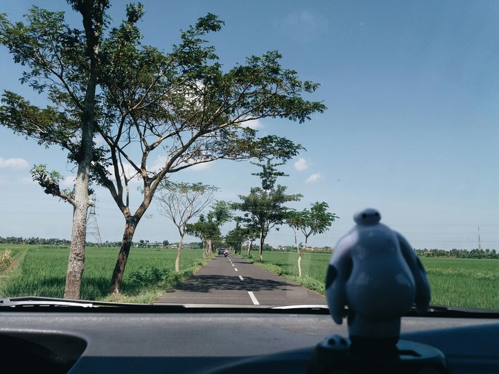 baymax