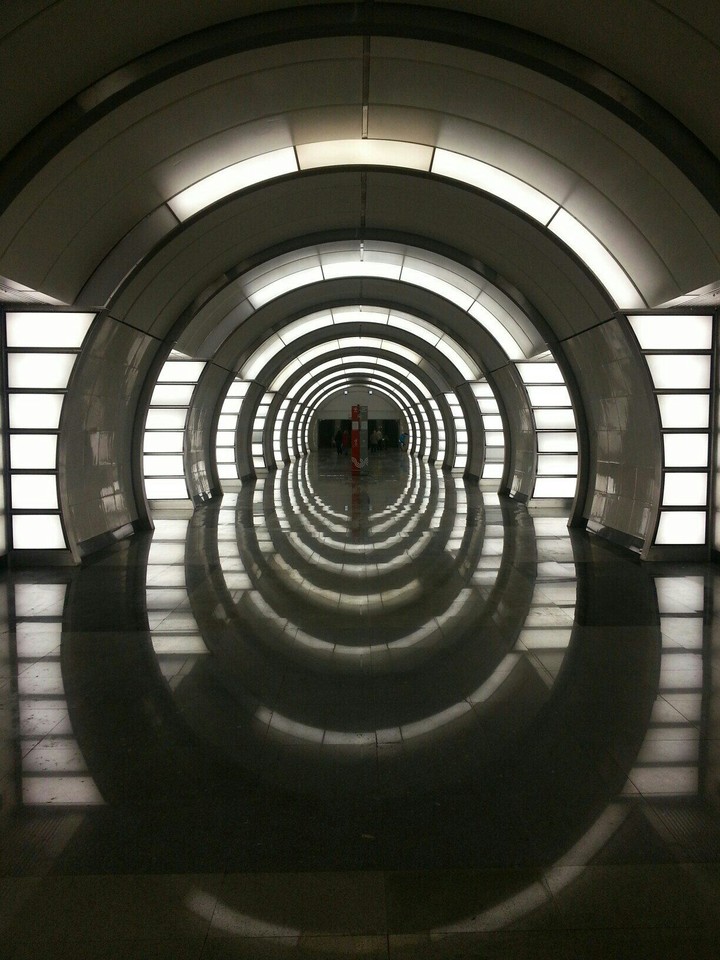 Fonvizinskaya metro station