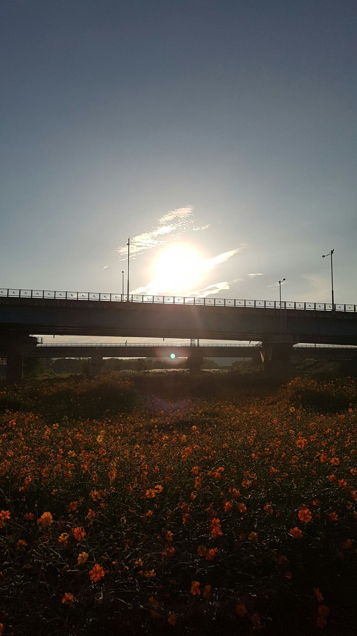 노을