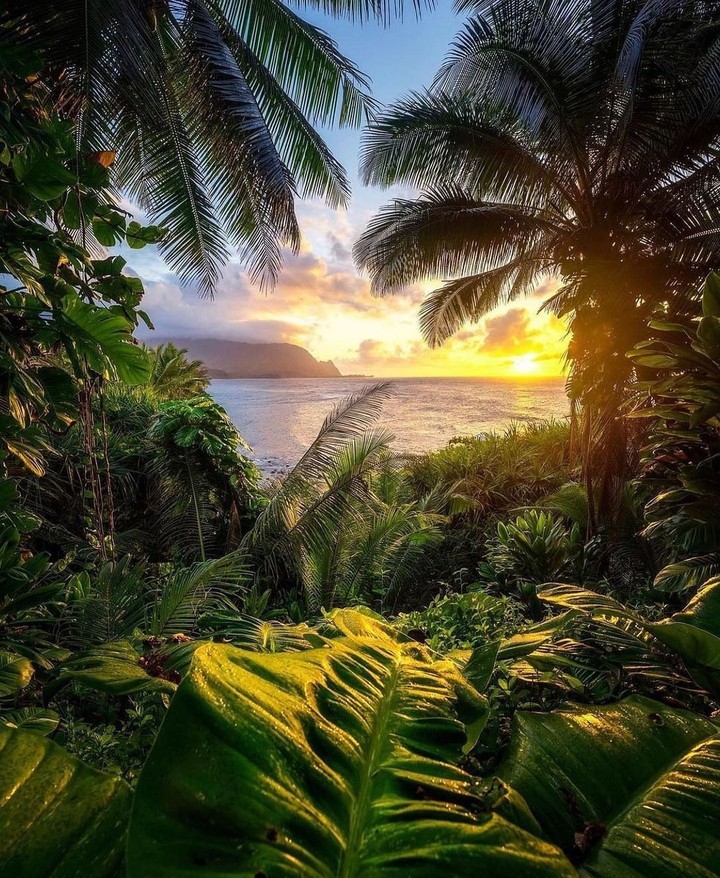 Hawaii...