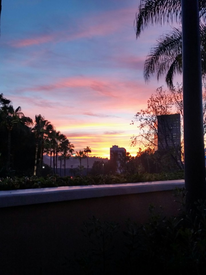 sun set