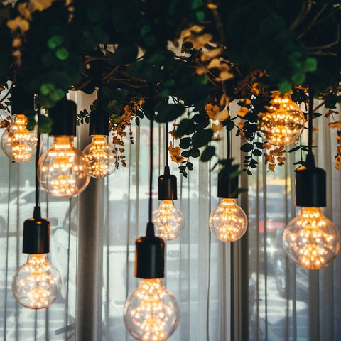 Bulbs