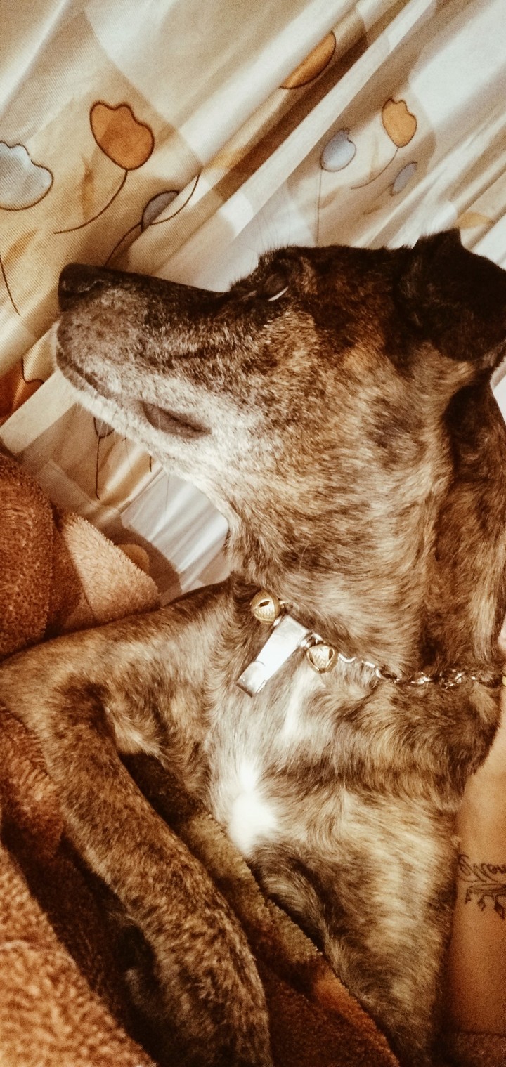 lucy