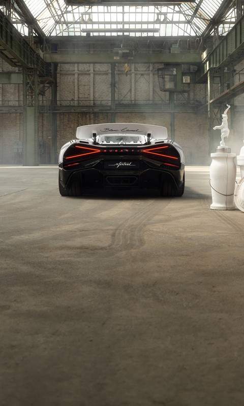 шпалери bumper, design
