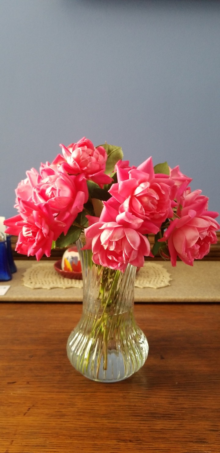 Roses