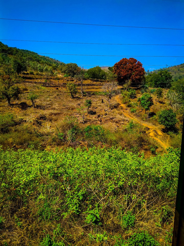 nature
