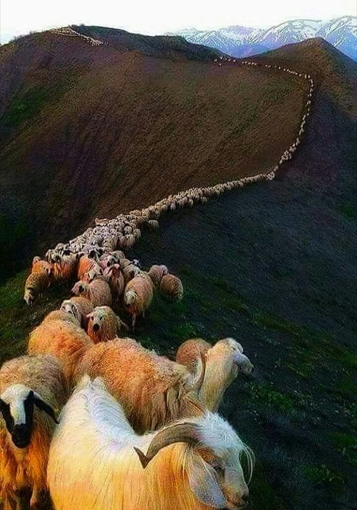 Beauty of INDIA
