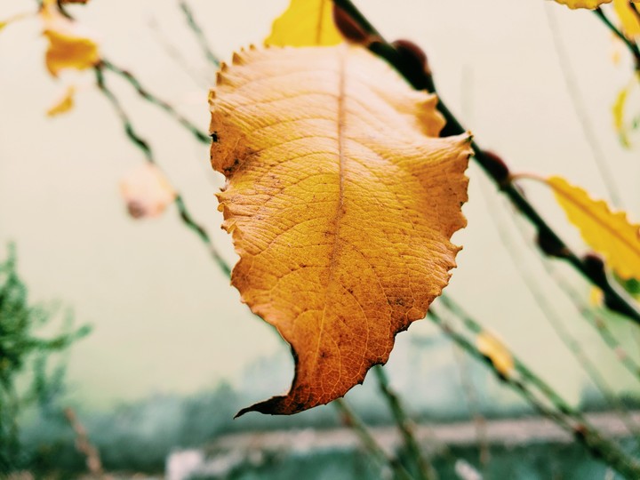 s9 Picture by me