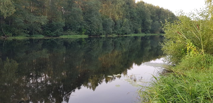 река Теза