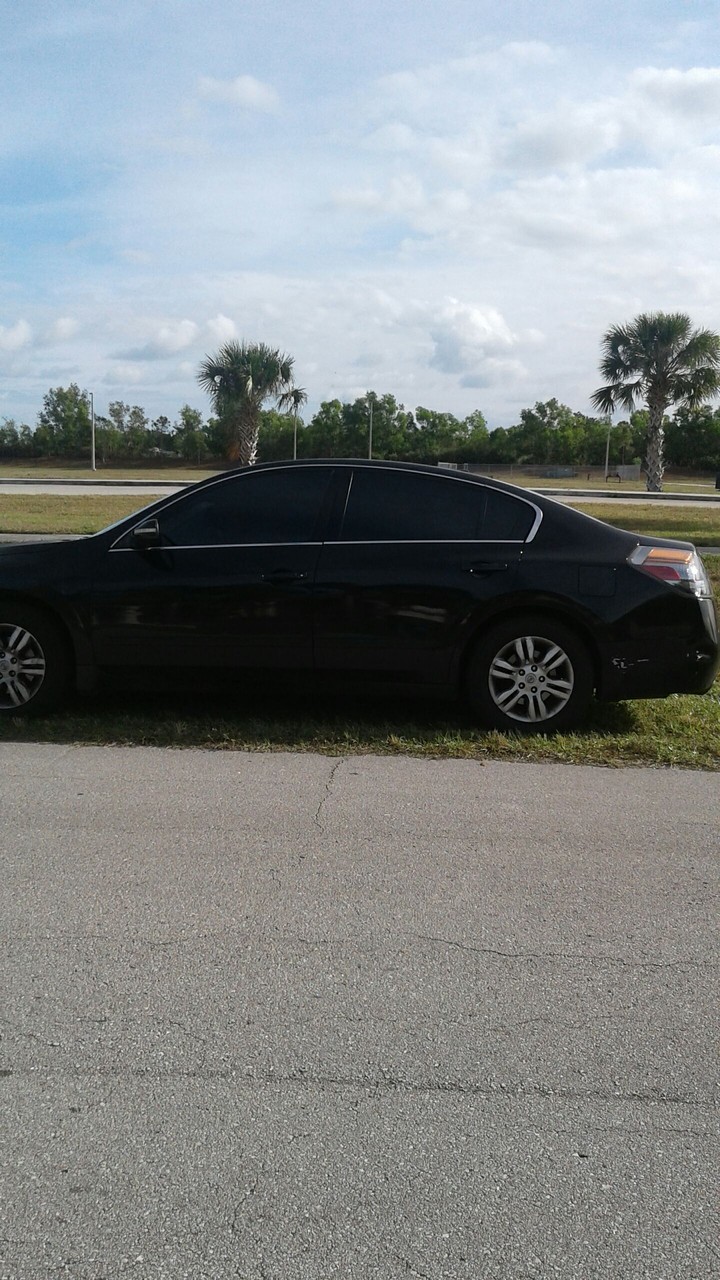 Black Beauty.