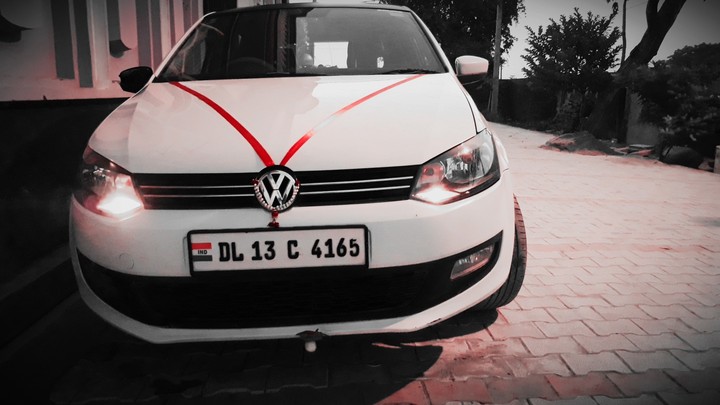 wv polo