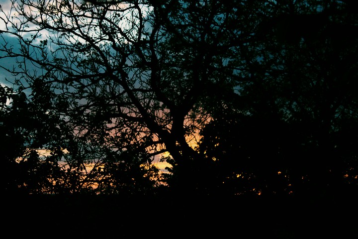 sunset.