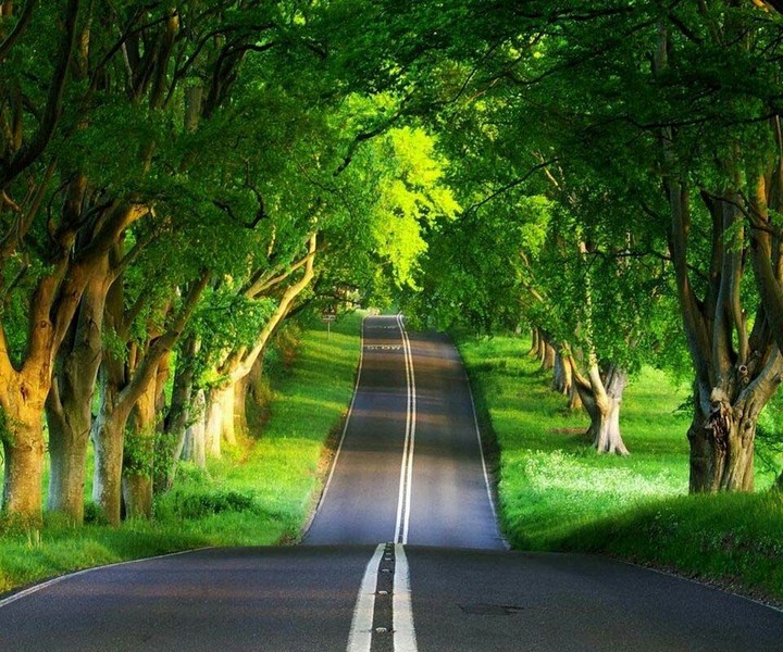road